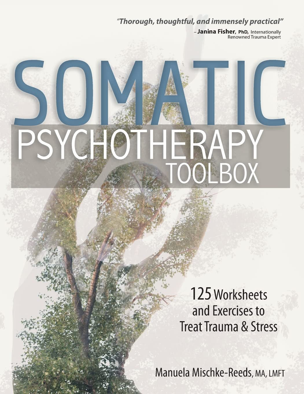 Somatic psychotherapy toolbox : 125 worksheets and exercises to treat trauma & stress
